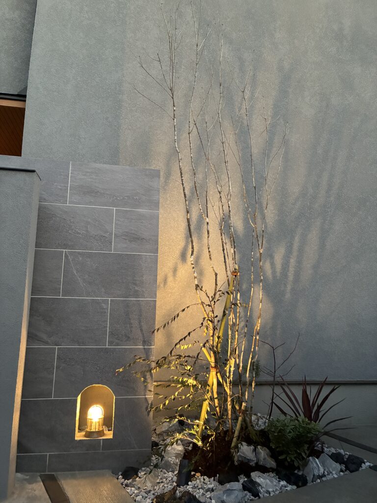 アオダモ 植栽 ライトアップ